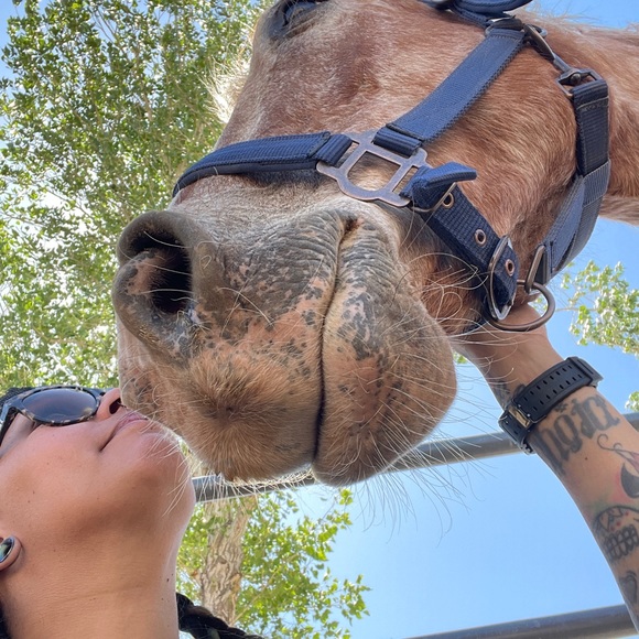 MEET YOUR RESCUE MAMA! โญ๏ธ๐๐๐๐ถ๐ด - Picture 8 of 17